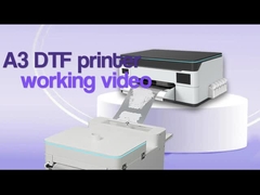 A3-DTF-Drucker-Arbeitsvideo